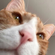 cryptty_ - steam id 76561199104589792