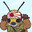Bee of The Rising Sun