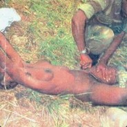 飞上天的泰日天