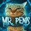 Mr. Penis