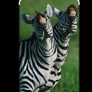 Karimovv09ى