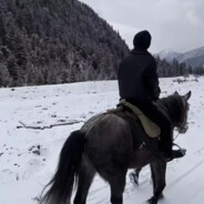 悲伤𝙆𝙞𝙩𝙩𝙮猫