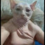 Mr. small pipin