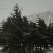 键鼠少年不会遇见手柄