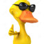 cool Duck