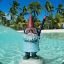 The Travelocity Gnome