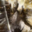 Roncalon