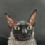every1 is toxic