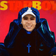 等到冬天离开》》