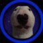 mimcabo