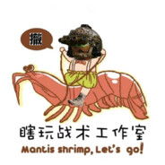 攻坚纵队A - 2 老朱