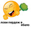 Пердонюхов Роман