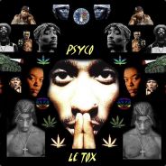 ^Le ToXiCo Du 93^.:SpL!F:.