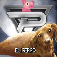 WF | El Perro Panzon