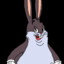 BIG CHUNGUS