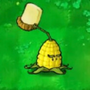 樵高第一黄油投手