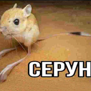 skichko - steam id 76561198449498396