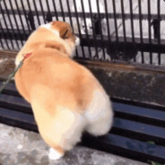 虎牙搜索教授123