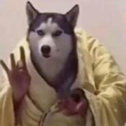 AAA土法男科狗大师