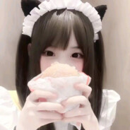 史上最萌小猫咪