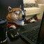 HotDoge