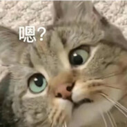 北极星的光环bjx