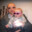 AbdiFraVollsmose avatar