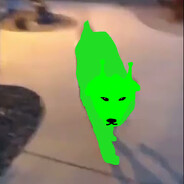 Glorp Dog