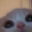 LIZZAMEH