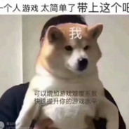 妲己8