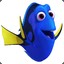 Dory