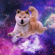 Wow!So much! - steam id 76561198017641415