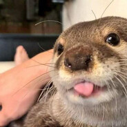 Хорошая Выдрочка