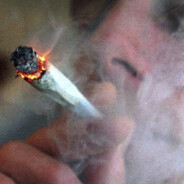 被拘的致幻少年