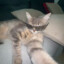 Mlody_41