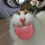 crazy peanut