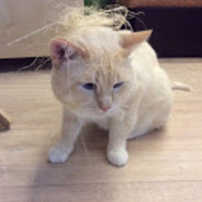 ḭṾΛṆḠṜṶῩ (krups)