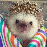 Hedgehog 1337 - steam id 76561198283261983