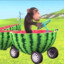 Monkey Riding Watermelon Train