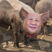 兩百斤大肥豬🐷