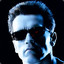 Arnold The Terminator