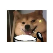 终点会是花海吗