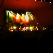 Cheezle - steam id 76561197965177454