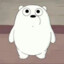 polar