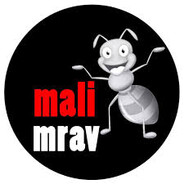 Sone77 - steam id 76561199503365907