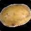 Major Potato