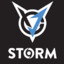 (っ◔◡◔)っ ♥ STORM ♥