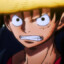 MD Luffy