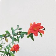 太极形意杜淑玲