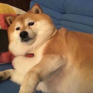 别催再催姐一把火把厨房烧了